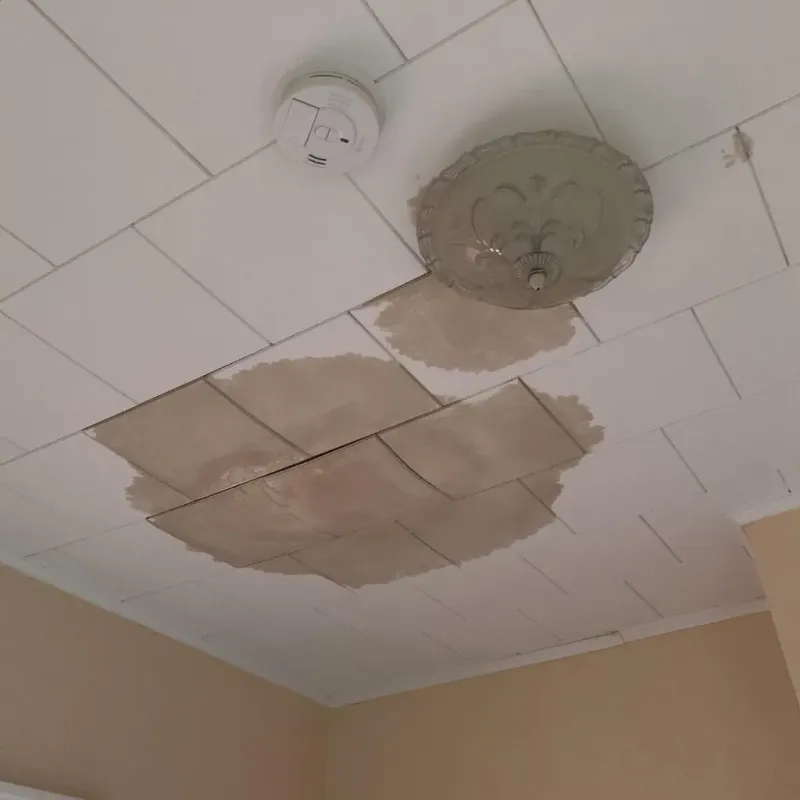 Ceiling Water Damage Repair in Marlborough, MA